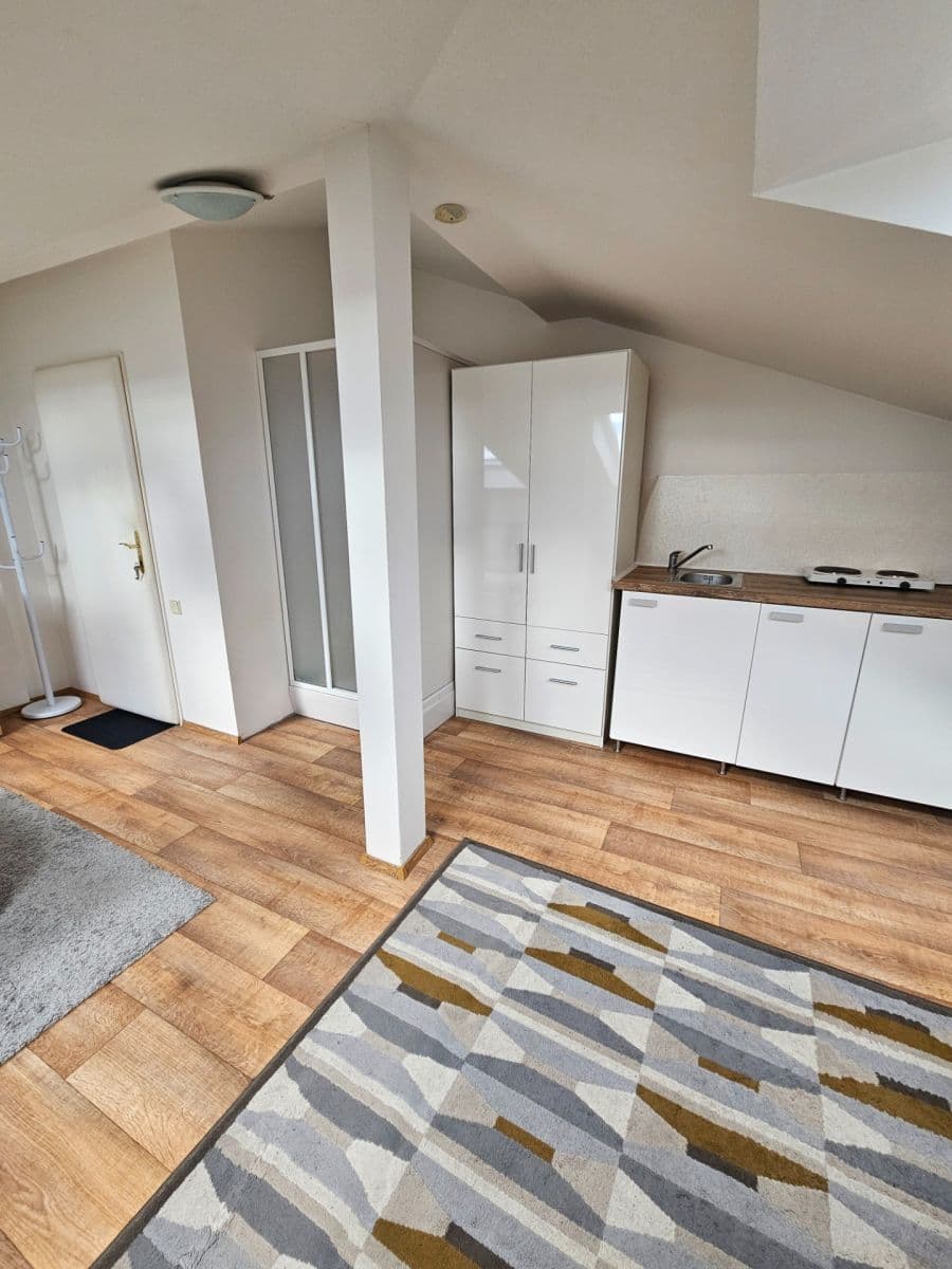 Pronájem bytu 1+kk 28 m², Nad Šárkou, Praha, Praha Pronájem bytu 1+kk 28 m², Nad Šárkou, Praha, Praha