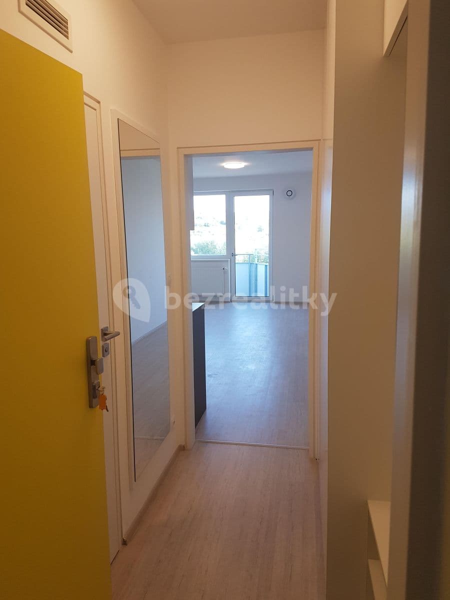 Pronájem bytu 1+kk 36 m², Reissigova, Brno, Jihomoravský kraj Pronájem bytu 1+kk 36 m², Reissigova, Brno, Jihomoravský kraj