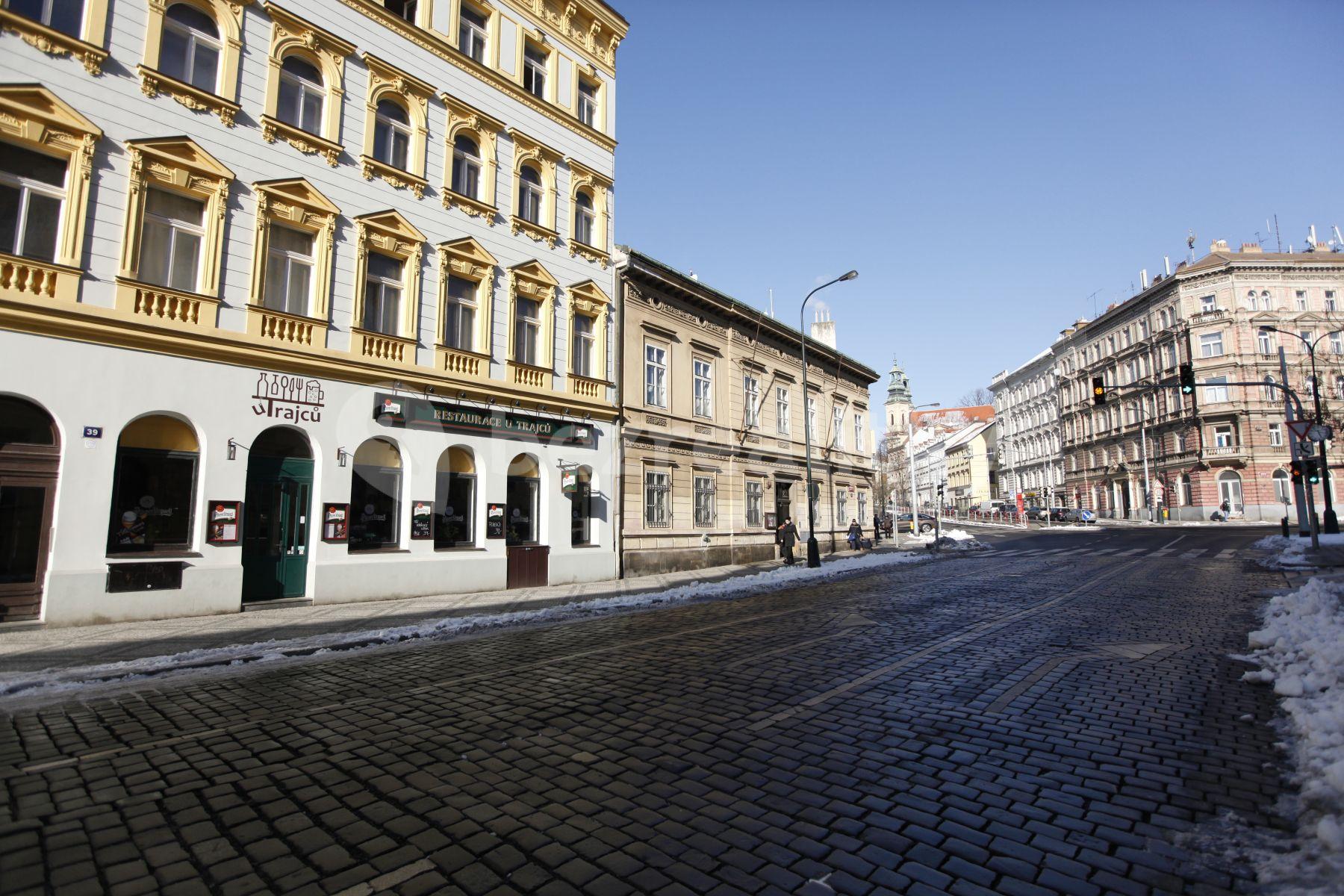 Pronájem nebytového prostoru 190 m², Vyšehradská, Praha, Praha