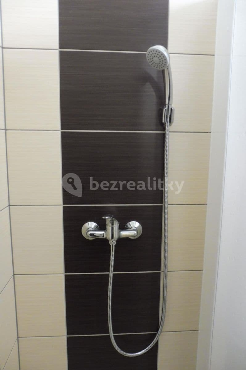 Pronájem bytu 1+1 41 m², Srbská, Brno, Jihomoravský kraj Pronájem bytu 1+1 41 m², Srbská, Brno, Jihomoravský kraj