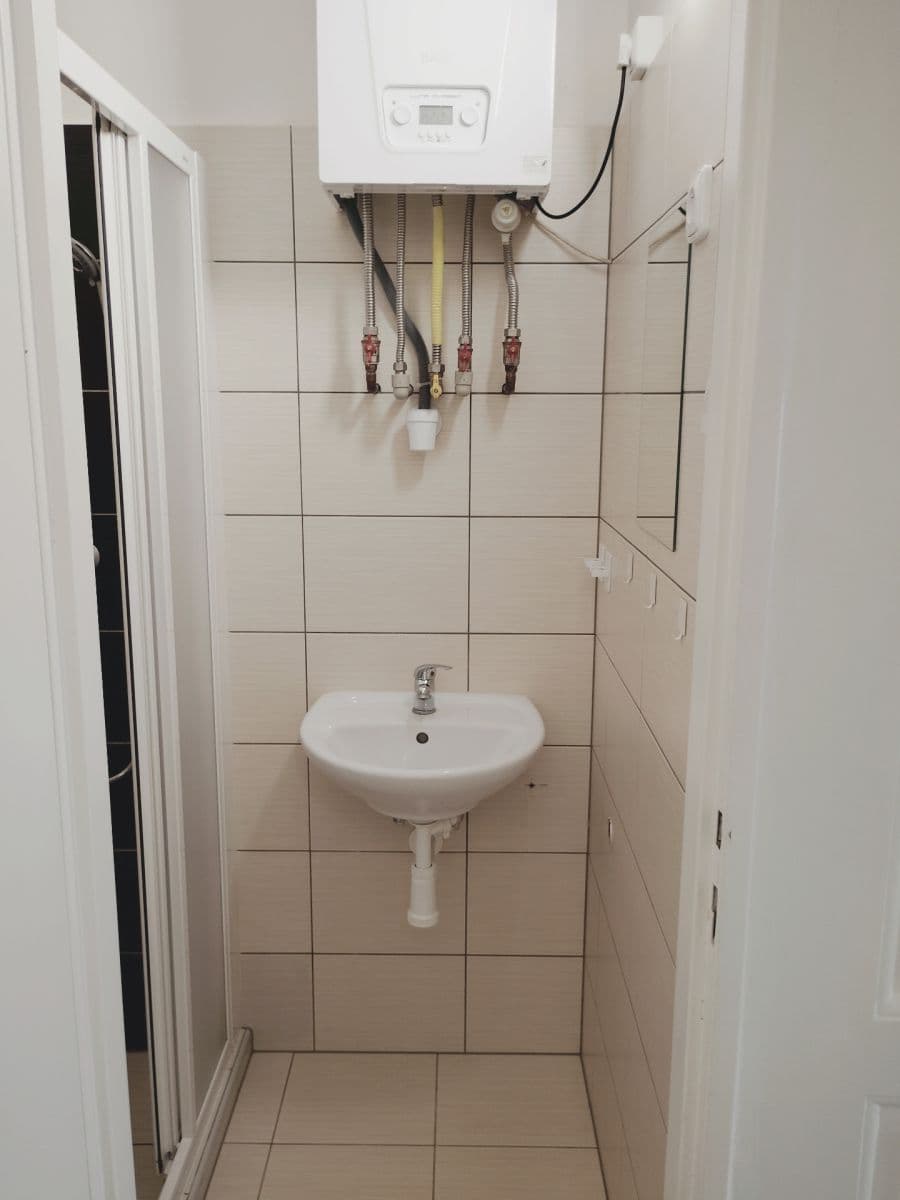 Pronájem bytu 1+1 41 m², Srbská, Brno, Jihomoravský kraj Pronájem bytu 1+1 41 m², Srbská, Brno, Jihomoravský kraj