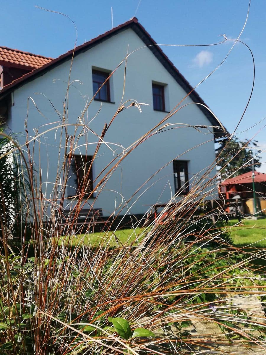 Pronájem chaty, chalupy, Králíky, Pardubický kraj Pronájem chaty, chalupy, Králíky, Pardubický kraj