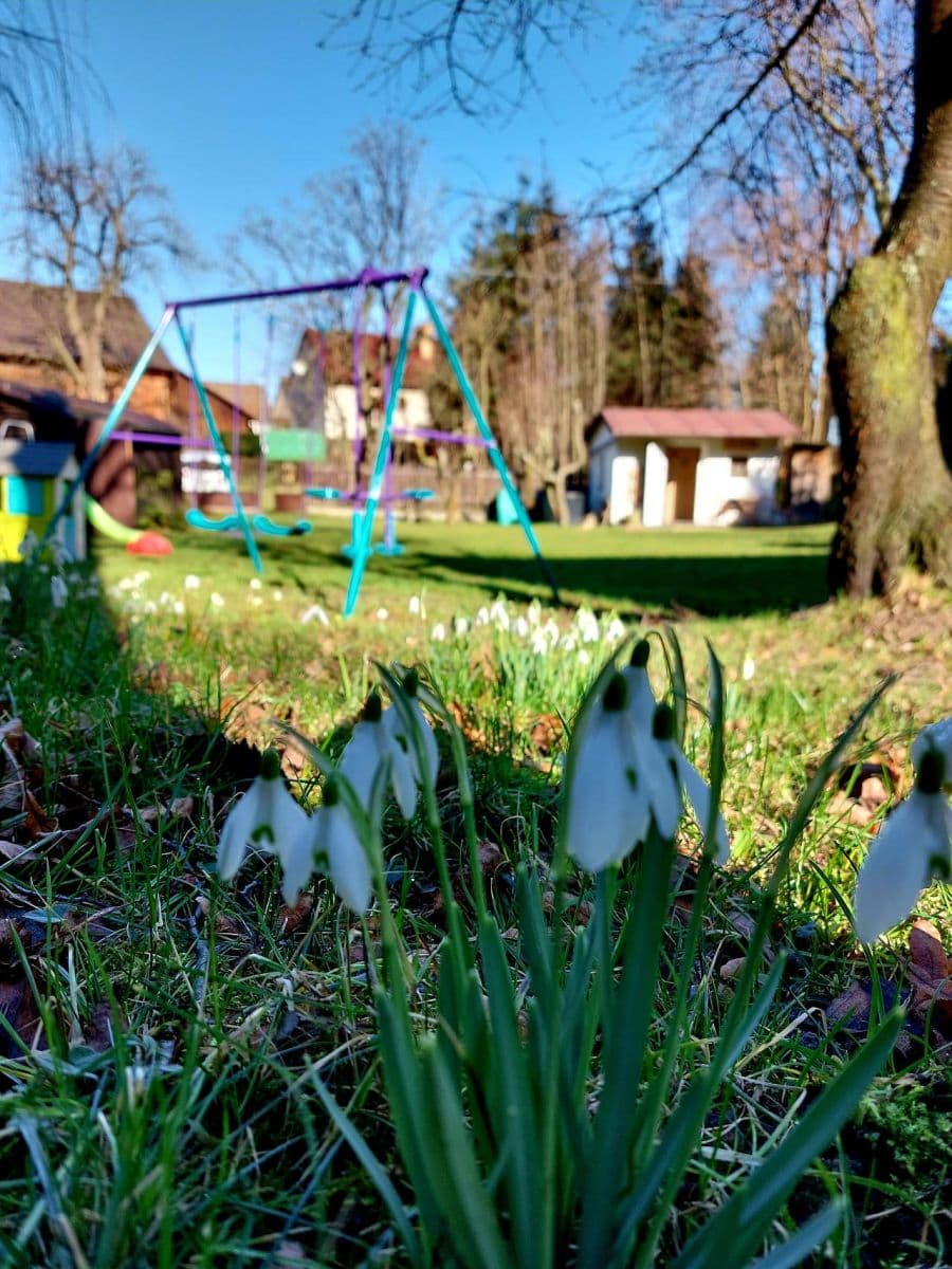 Pronájem chaty, chalupy, Zbýšov, Středočeský kraj Pronájem chaty, chalupy, Zbýšov, Středočeský kraj