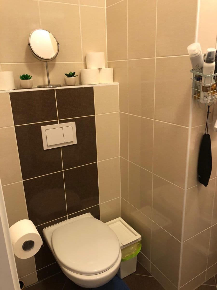 Pronájem bytu 1+kk 33 m², Hornoměcholupská, Praha, Praha Pronájem bytu 1+kk 33 m², Hornoměcholupská, Praha, Praha