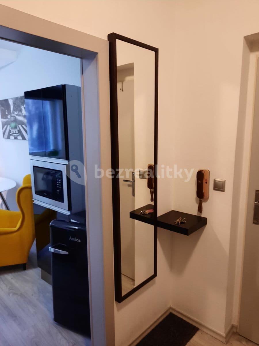 Pronájem bytu 1+kk 30 m², Högrova, Brno, Jihomoravský kraj Pronájem bytu 1+kk 30 m², Högrova, Brno, Jihomoravský kraj