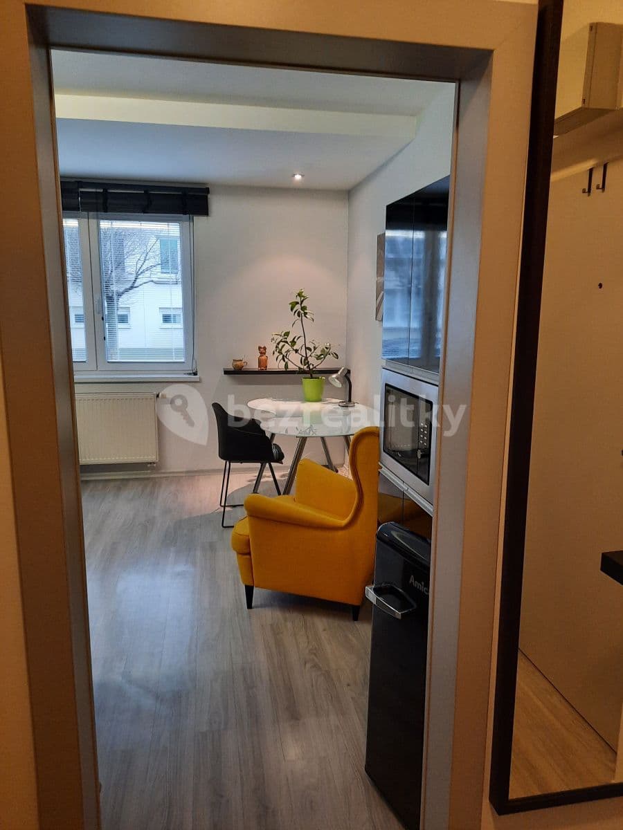 Pronájem bytu 1+kk 30 m², Högrova, Brno, Jihomoravský kraj Pronájem bytu 1+kk 30 m², Högrova, Brno, Jihomoravský kraj