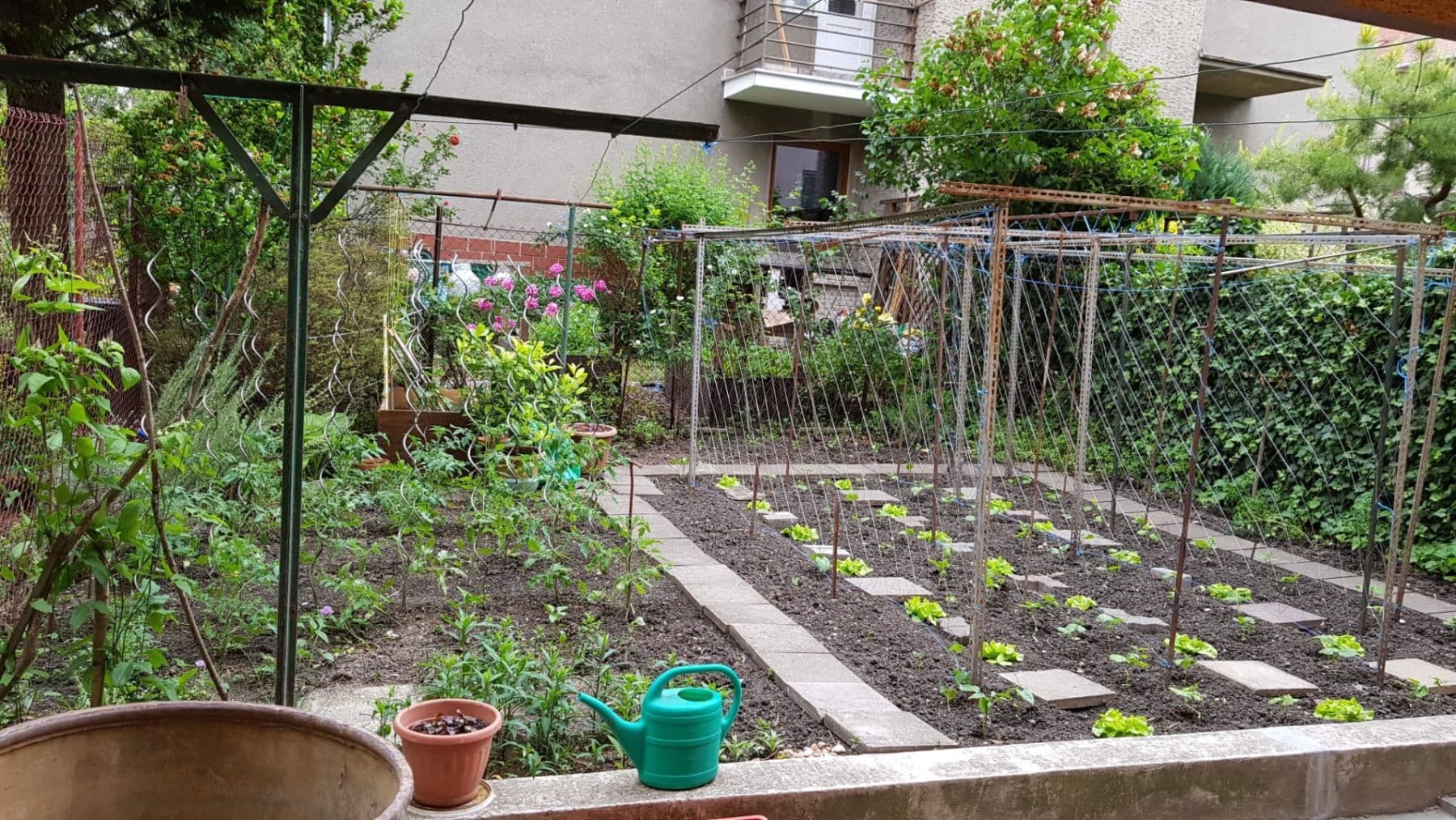 Pronájem bytu 2+1 65 m², Tišnovská, Brno, Jihomoravský kraj Pronájem bytu 2+1 65 m², Tišnovská, Brno, Jihomoravský kraj