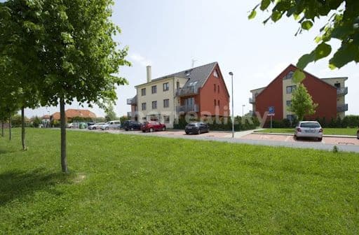 Pronájem bytu Garsoniéra 44 m², Bazalková, Praha, Praha Pronájem bytu Garsoniéra 44 m², Bazalková, Praha, Praha