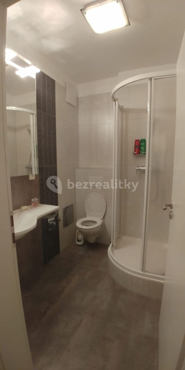 Pronájem bytu Garsoniéra 44 m², Bazalková, Praha, Praha Pronájem bytu Garsoniéra 44 m², Bazalková, Praha, Praha