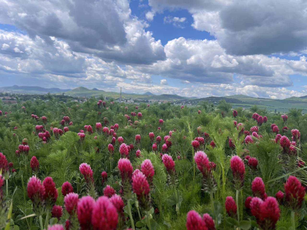 Pronájem chaty, chalupy, Litoměřice, Ústecký kraj Pronájem chaty, chalupy, Litoměřice, Ústecký kraj