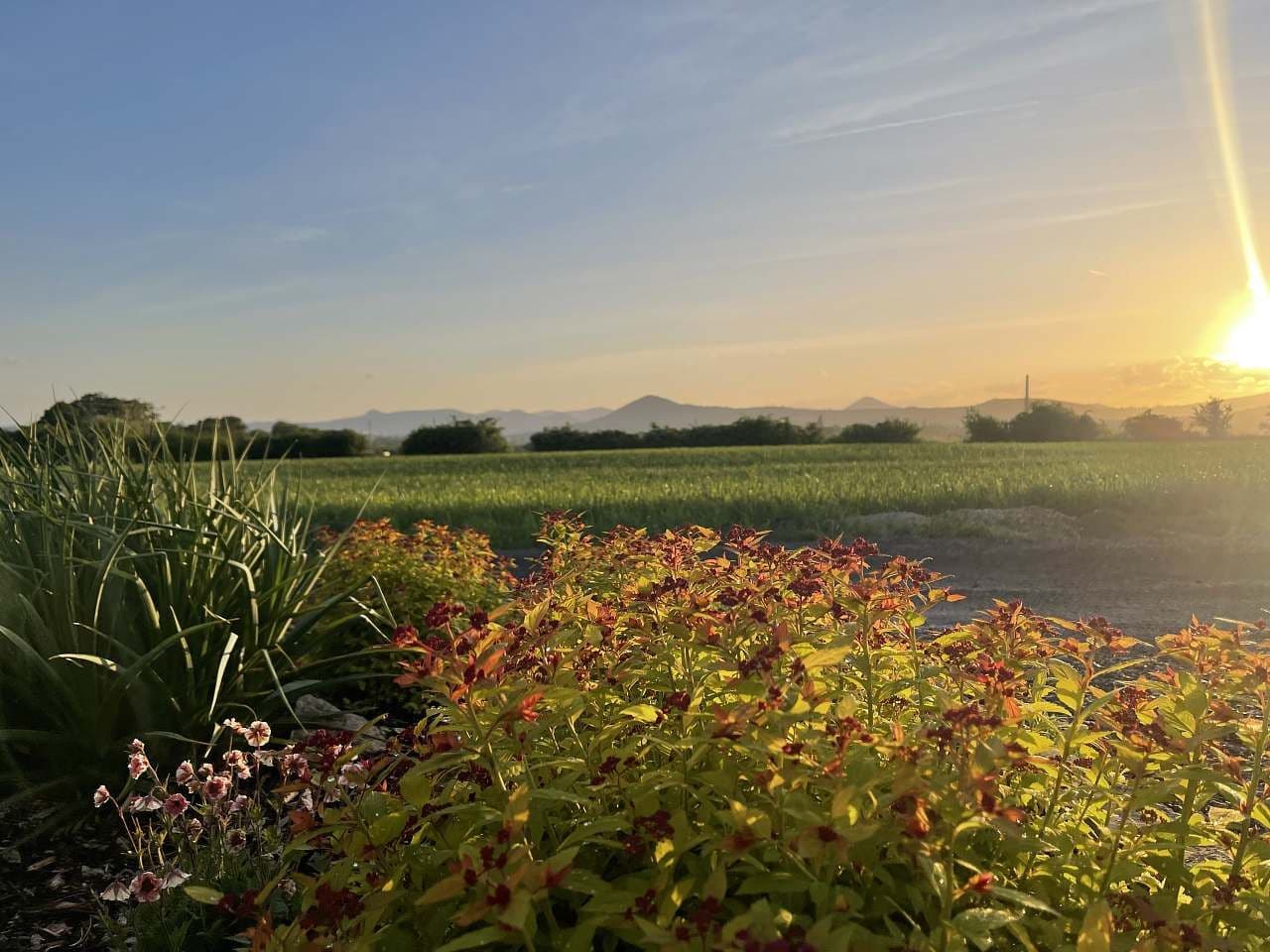 Pronájem chaty, chalupy, Litoměřice, Ústecký kraj Pronájem chaty, chalupy, Litoměřice, Ústecký kraj