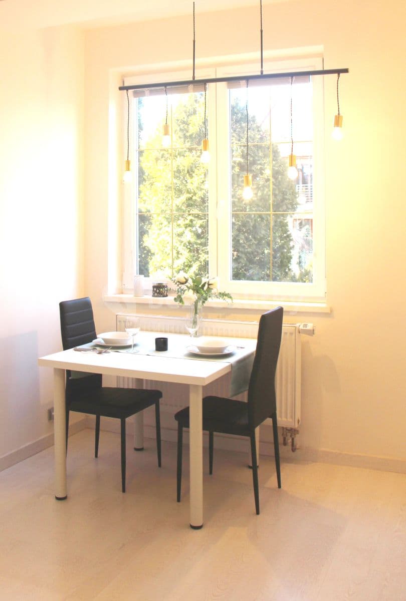 Pronájem bytu 1+1 53 m², Závodského, Brno, Jihomoravský kraj Pronájem bytu 1+1 53 m², Závodského, Brno, Jihomoravský kraj