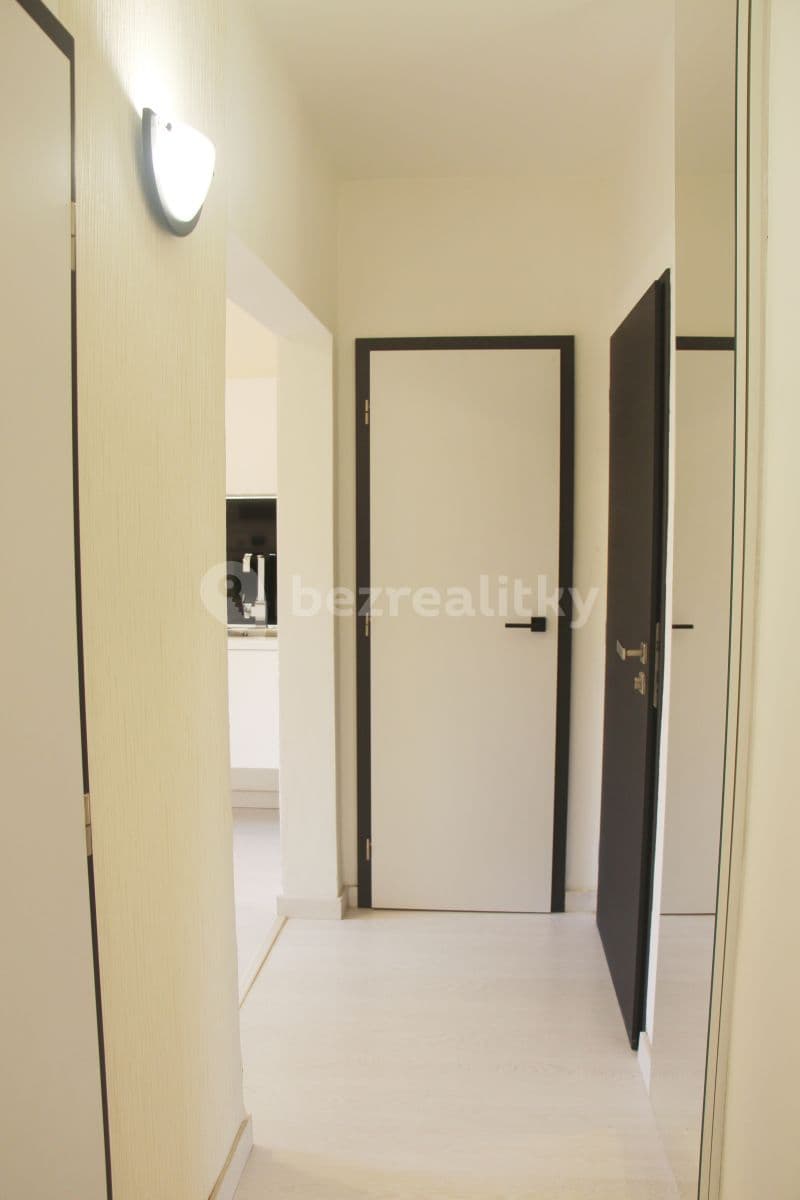 Pronájem bytu 1+1 53 m², Závodského, Brno, Jihomoravský kraj Pronájem bytu 1+1 53 m², Závodského, Brno, Jihomoravský kraj