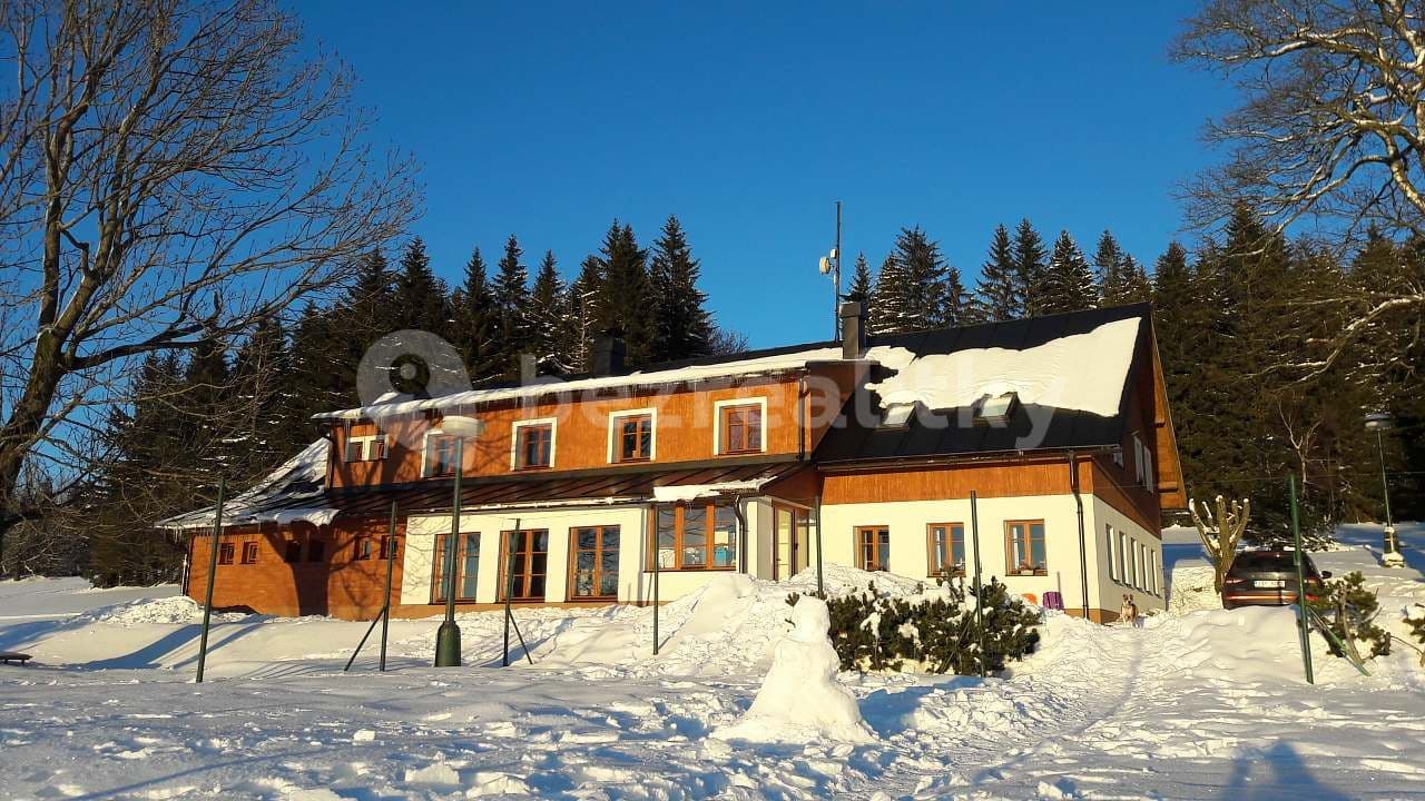 Pronájem chaty, chalupy, Říčky v Orlických horách, Královéhradecký kraj Pronájem chaty, chalupy, Říčky v Orlických horách, Královéhradecký kraj