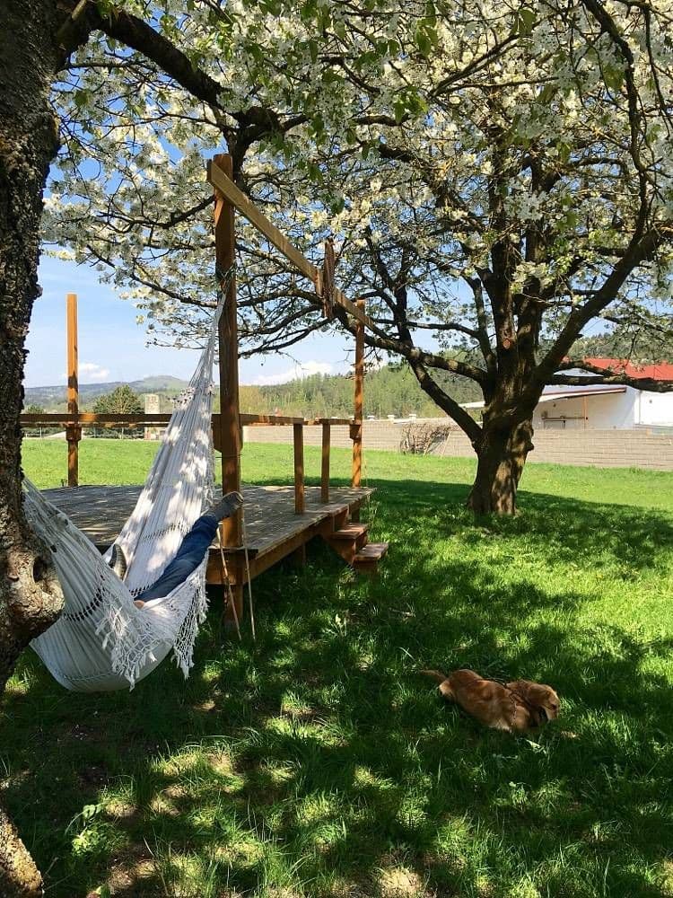 Pronájem chaty, chalupy, Dřevěnice, Královéhradecký kraj Pronájem chaty, chalupy, Dřevěnice, Královéhradecký kraj