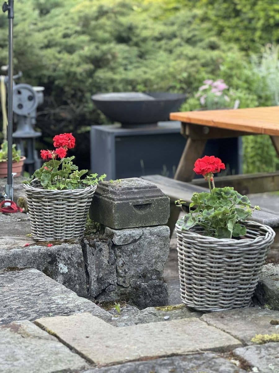 Pronájem chaty, chalupy, Jívka, Královéhradecký kraj Pronájem chaty, chalupy, Jívka, Královéhradecký kraj