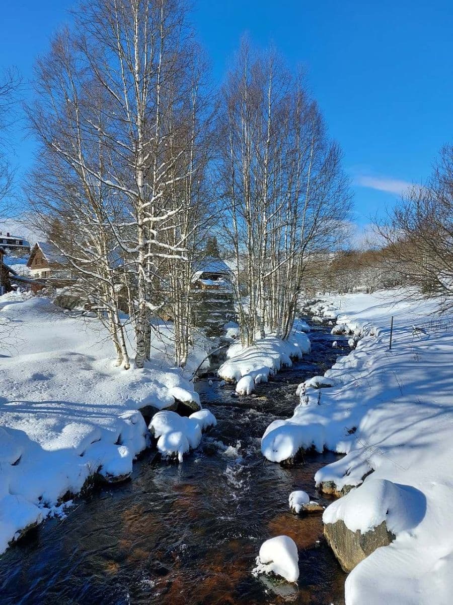 Pronájem chaty, chalupy, Kvilda, Jihočeský kraj Pronájem chaty, chalupy, Kvilda, Jihočeský kraj