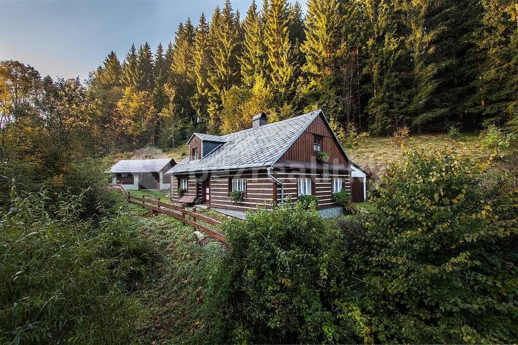 Pronájem chaty, chalupy, Červená Voda, Pardubický kraj Pronájem chaty, chalupy, Červená Voda, Pardubický kraj