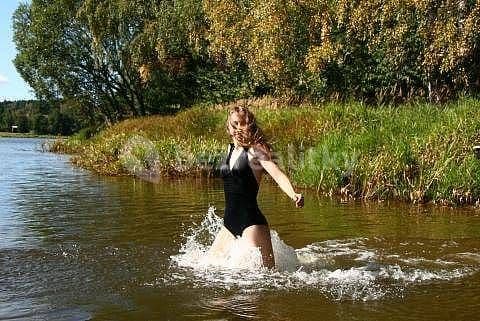 Pronájem chaty, chalupy, Strmilov, Jihočeský kraj Pronájem chaty, chalupy, Strmilov, Jihočeský kraj