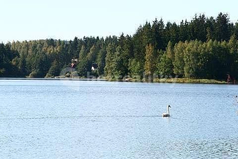 Pronájem chaty, chalupy, Strmilov, Jihočeský kraj Pronájem chaty, chalupy, Strmilov, Jihočeský kraj