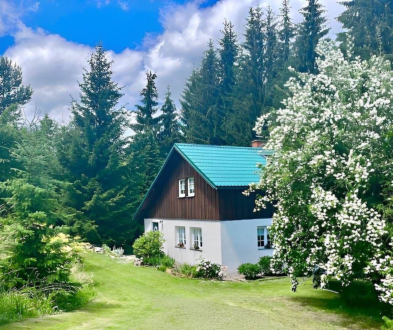 Pronájem chaty, chalupy, Bartošovice v Orlických horách, Královéhradecký kraj Pronájem chaty, chalupy, Bartošovice v Orlických horách, Královéhradecký kraj