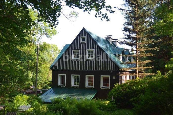 Pronájem chaty, chalupy, Desná, Liberecký kraj Pronájem chaty, chalupy, Desná, Liberecký kraj