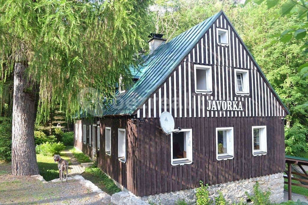 Pronájem chaty, chalupy, Desná, Liberecký kraj Pronájem chaty, chalupy, Desná, Liberecký kraj