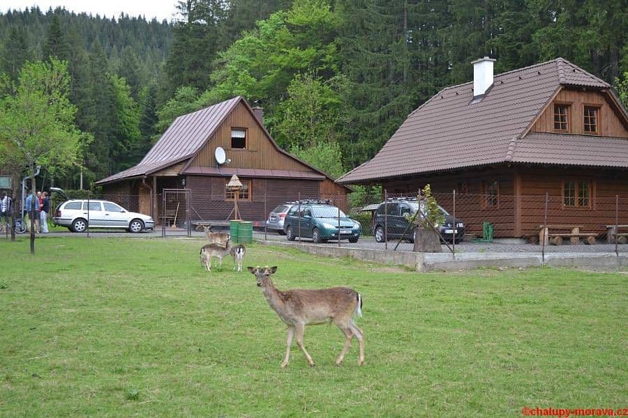 Pronájem chaty, chalupy, Velké Karlovice, Zlínský kraj Pronájem chaty, chalupy, Velké Karlovice, Zlínský kraj