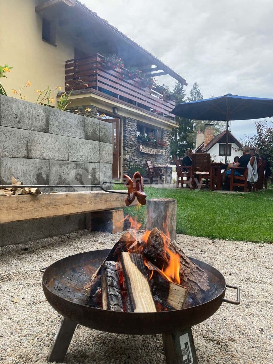 Pronájem chaty, chalupy, Lipno nad Vltavou, Jihočeský kraj Pronájem chaty, chalupy, Lipno nad Vltavou, Jihočeský kraj