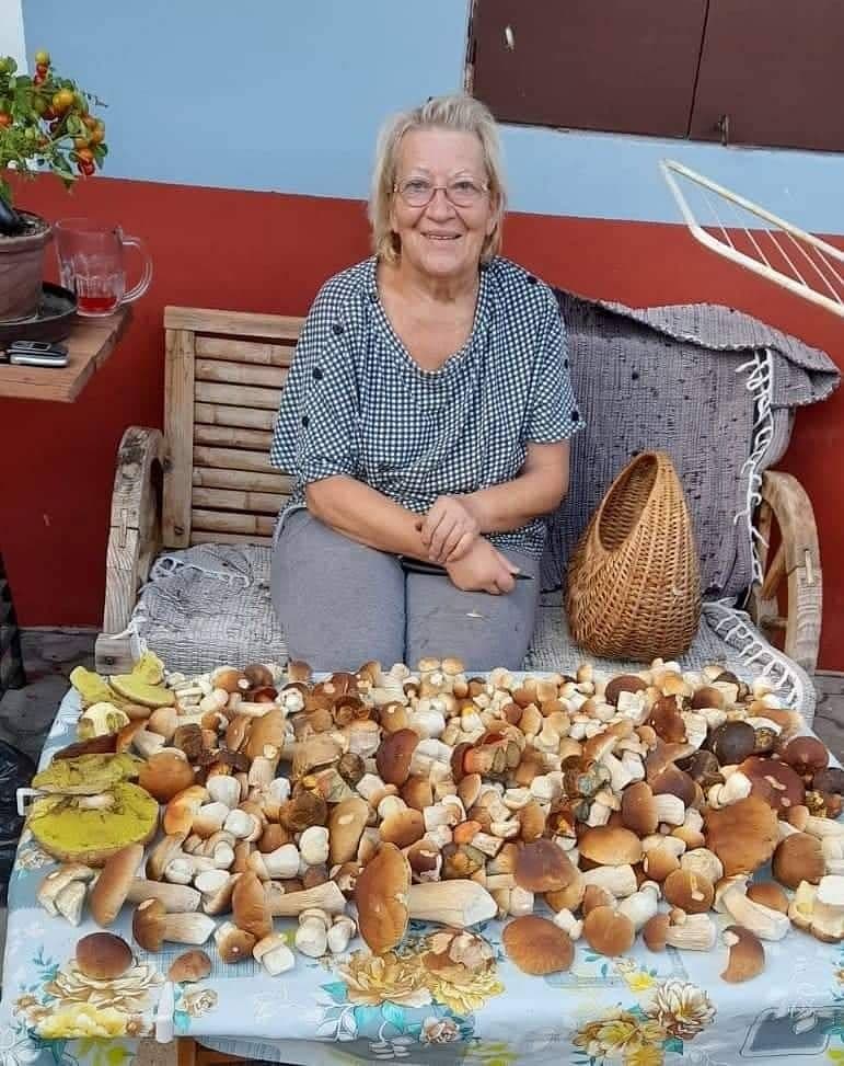 Pronájem chaty, chalupy, Dlouhá Lhota, Jihočeský kraj Pronájem chaty, chalupy, Dlouhá Lhota, Jihočeský kraj