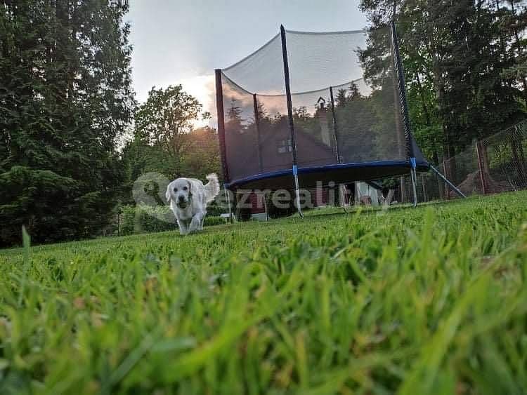 Pronájem chaty, chalupy, Planá nad Lužnicí, Jihočeský kraj Pronájem chaty, chalupy, Planá nad Lužnicí, Jihočeský kraj