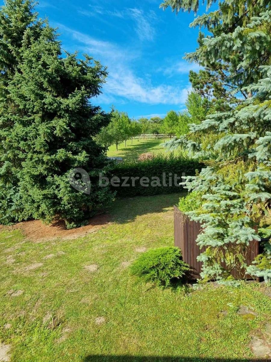 Pronájem chaty, chalupy, Staré Těchanovice, Moravskoslezský kraj Pronájem chaty, chalupy, Staré Těchanovice, Moravskoslezský kraj