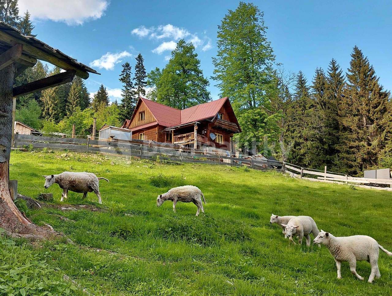 Pronájem chaty, chalupy, Morávka, Moravskoslezský kraj Pronájem chaty, chalupy, Morávka, Moravskoslezský kraj