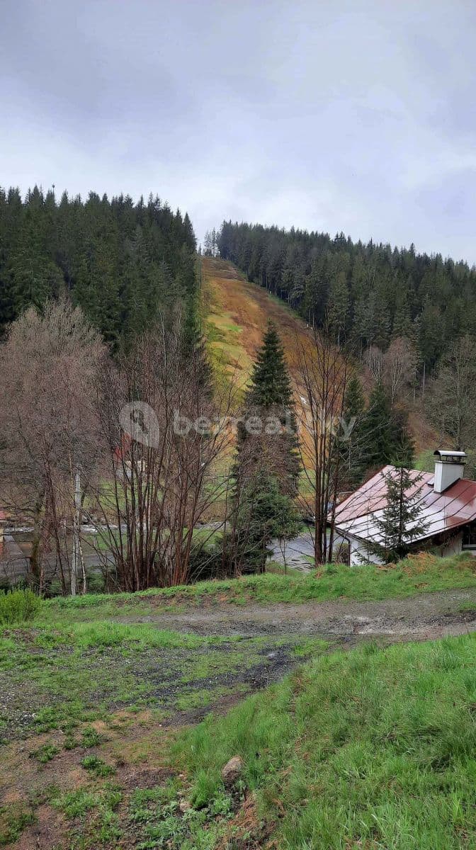 Pronájem chaty, chalupy, Nové Hamry, Karlovarský kraj Pronájem chaty, chalupy, Nové Hamry, Karlovarský kraj