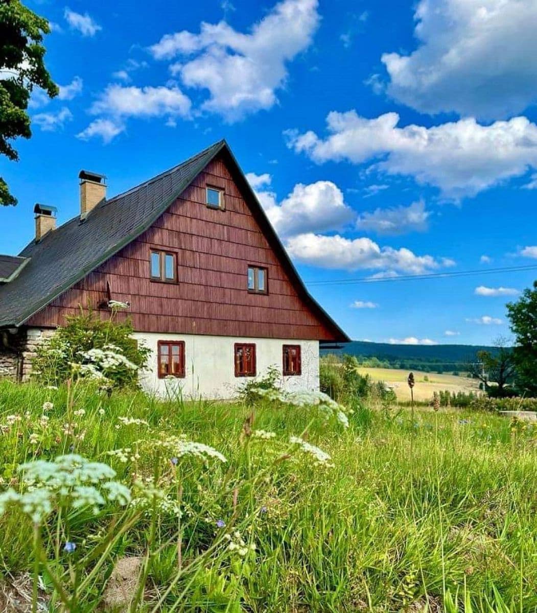Pronájem chaty, chalupy, Říčky v Orlických horách, Královéhradecký kraj Pronájem chaty, chalupy, Říčky v Orlických horách, Královéhradecký kraj
