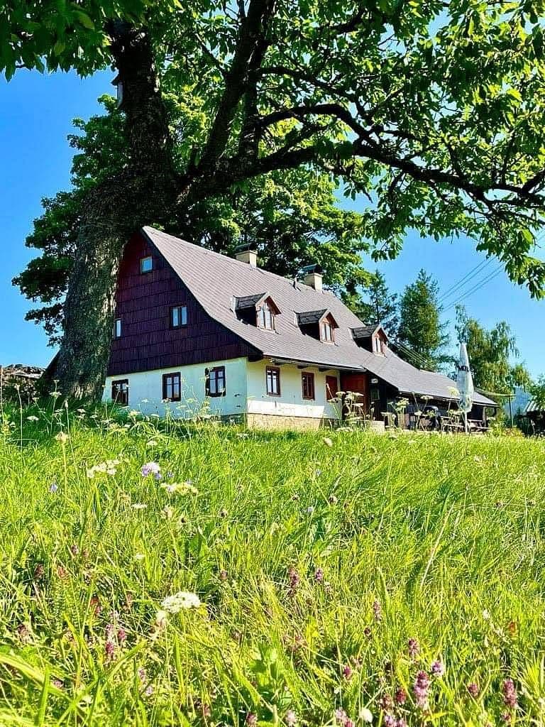 Pronájem chaty, chalupy, Říčky v Orlických horách, Královéhradecký kraj Pronájem chaty, chalupy, Říčky v Orlických horách, Královéhradecký kraj