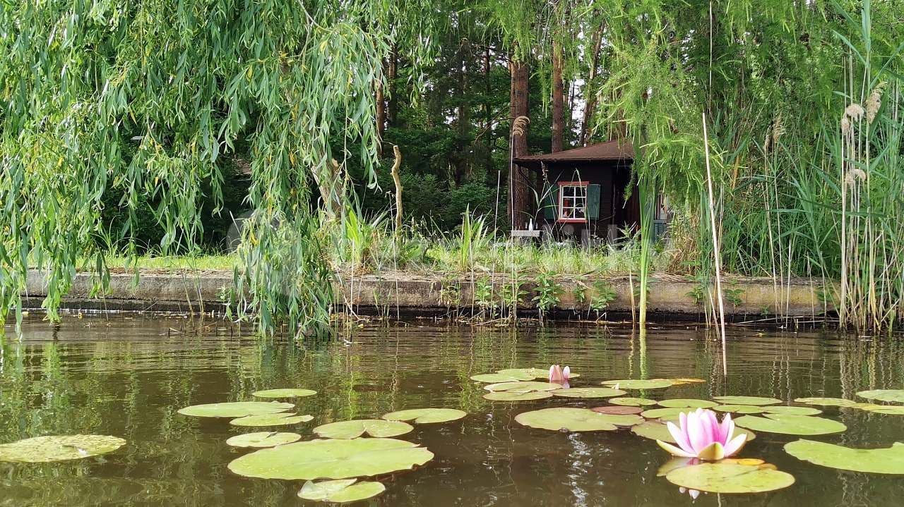 Pronájem chaty, chalupy, Zliv, Jihočeský kraj Pronájem chaty, chalupy, Zliv, Jihočeský kraj