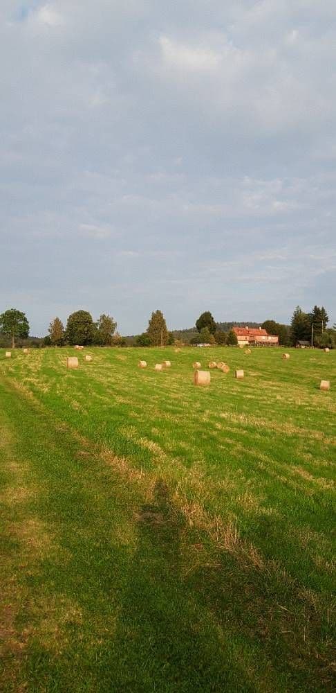 Pronájem chaty, chalupy, Doubice, Ústecký kraj Pronájem chaty, chalupy, Doubice, Ústecký kraj