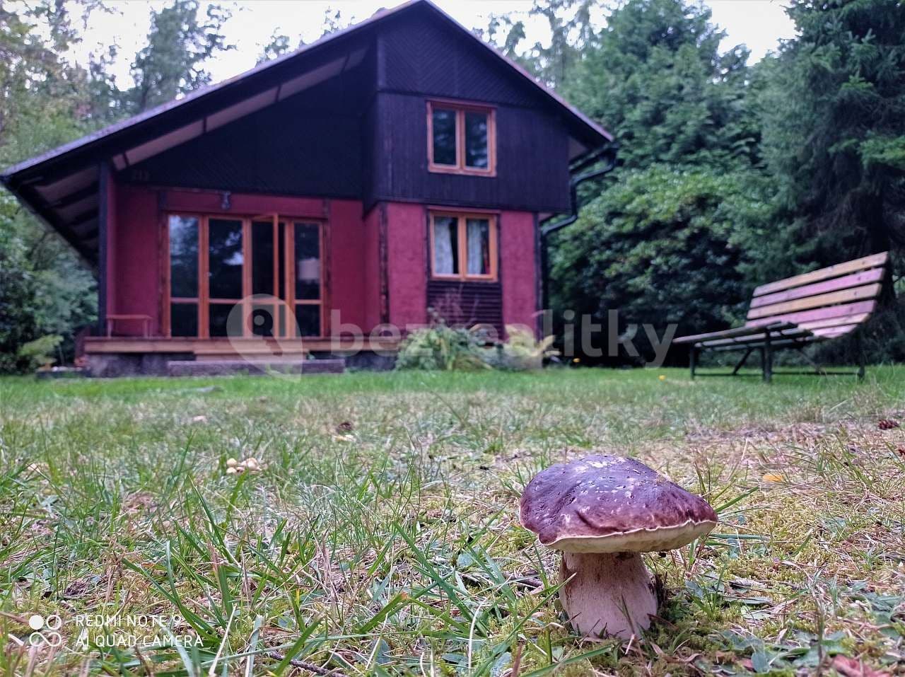 Pronájem chaty, chalupy, Planá nad Lužnicí, Jihočeský kraj Pronájem chaty, chalupy, Planá nad Lužnicí, Jihočeský kraj
