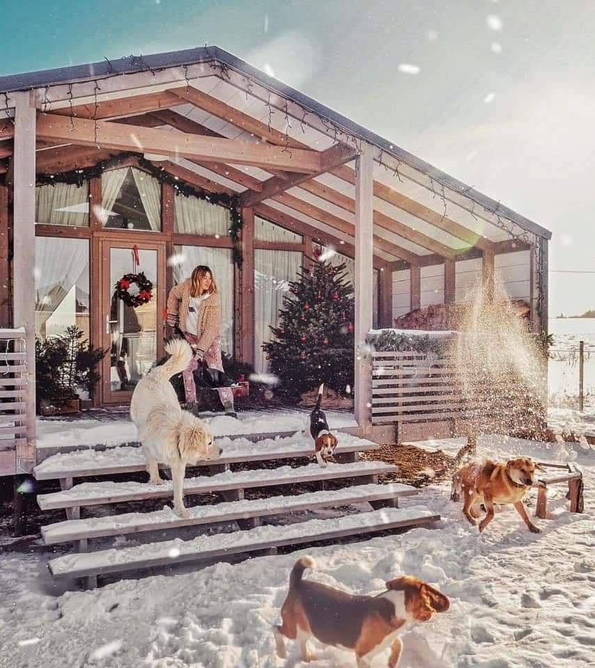 Pronájem chaty, chalupy, Horní Podluží, Ústecký kraj Pronájem chaty, chalupy, Horní Podluží, Ústecký kraj