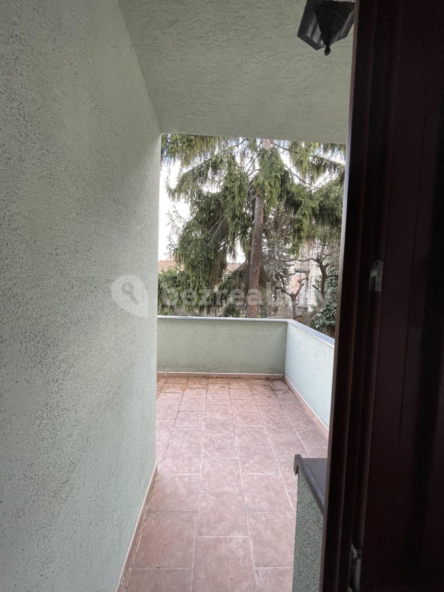 Pronájem bytu 2+kk 37 m², Rotalova, Brno, Jihomoravský kraj Pronájem bytu 2+kk 37 m², Rotalova, Brno, Jihomoravský kraj