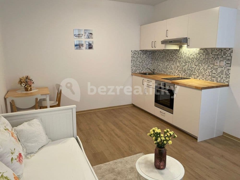 Pronájem bytu 1+kk 25 m², Hlušičkova, Praha, Praha Pronájem bytu 1+kk 25 m², Hlušičkova, Praha, Praha