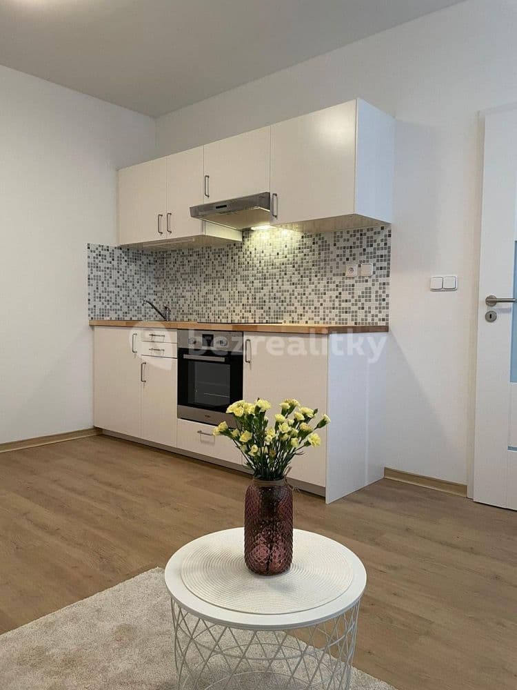 Pronájem bytu 1+kk 25 m², Hlušičkova, Praha, Praha Pronájem bytu 1+kk 25 m², Hlušičkova, Praha, Praha