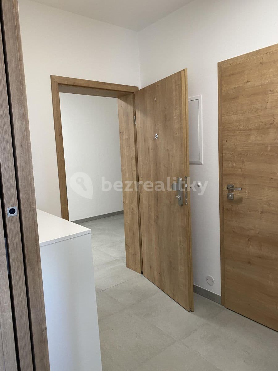 Pronájem bytu 2+kk 48 m², Břetislavova, Brno, Jihomoravský kraj Pronájem bytu 2+kk 48 m², Břetislavova, Brno, Jihomoravský kraj