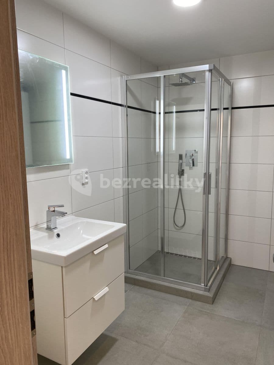 Pronájem bytu 2+kk 48 m², Břetislavova, Brno, Jihomoravský kraj Pronájem bytu 2+kk 48 m², Břetislavova, Brno, Jihomoravský kraj