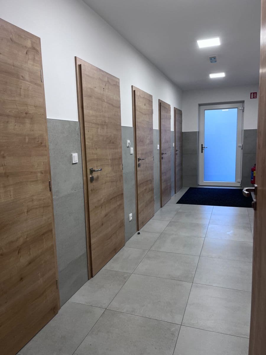 Pronájem bytu 2+kk 48 m², Břetislavova, Brno, Jihomoravský kraj Pronájem bytu 2+kk 48 m², Břetislavova, Brno, Jihomoravský kraj