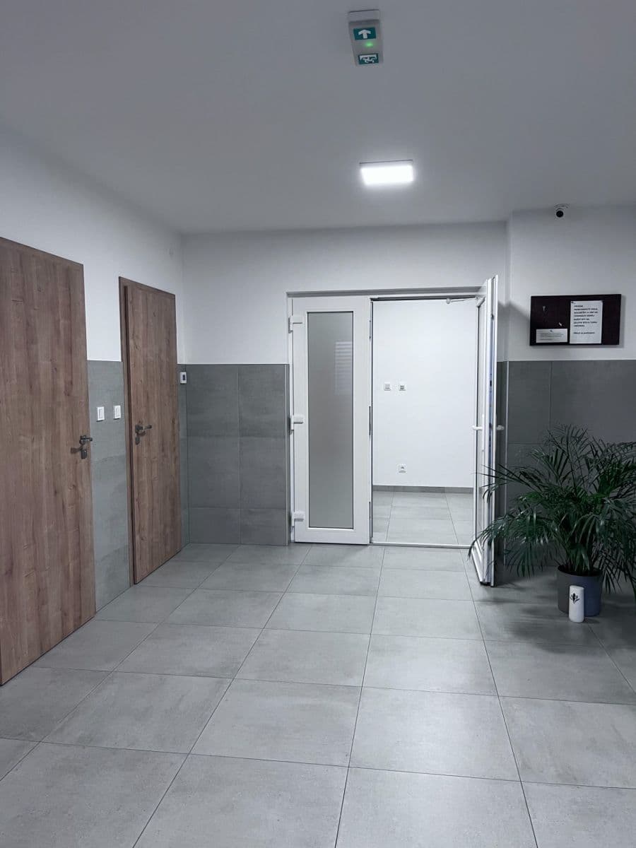 Pronájem bytu 2+kk 48 m², Břetislavova, Brno, Jihomoravský kraj Pronájem bytu 2+kk 48 m², Břetislavova, Brno, Jihomoravský kraj