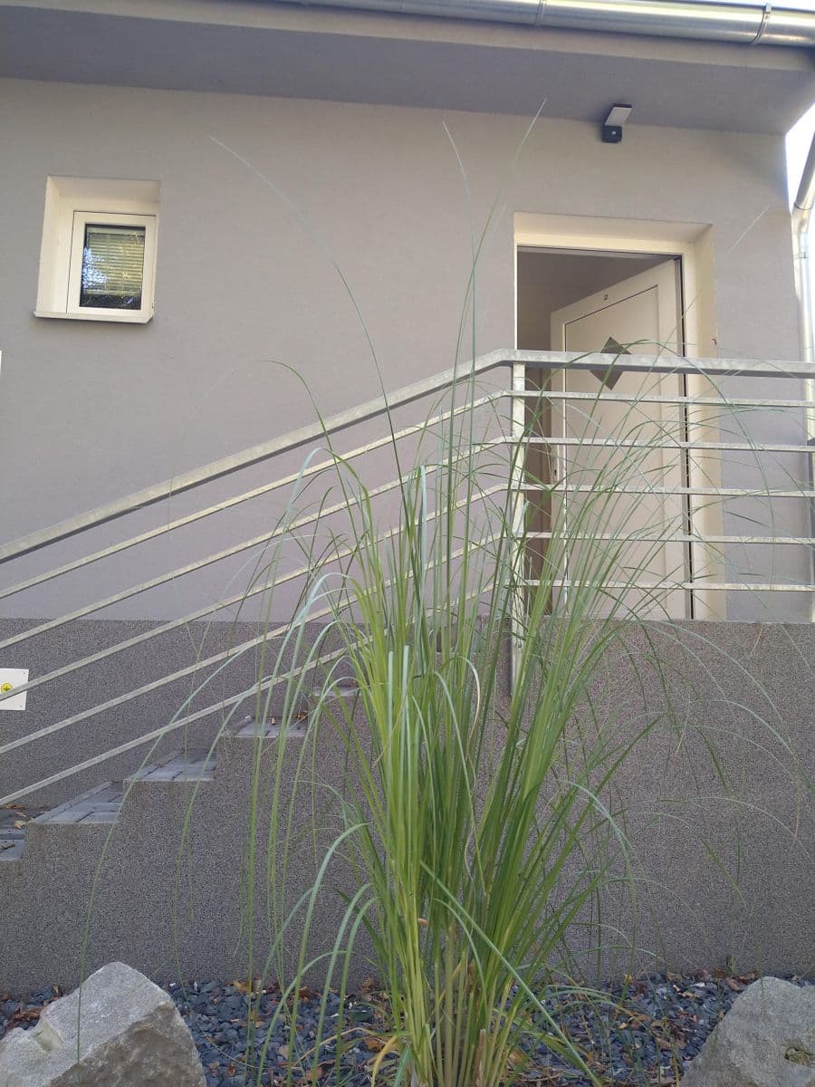 Pronájem bytu 3+kk 60 m², Horymírova, Ostrava, Moravskoslezský kraj Pronájem bytu 3+kk 60 m², Horymírova, Ostrava, Moravskoslezský kraj