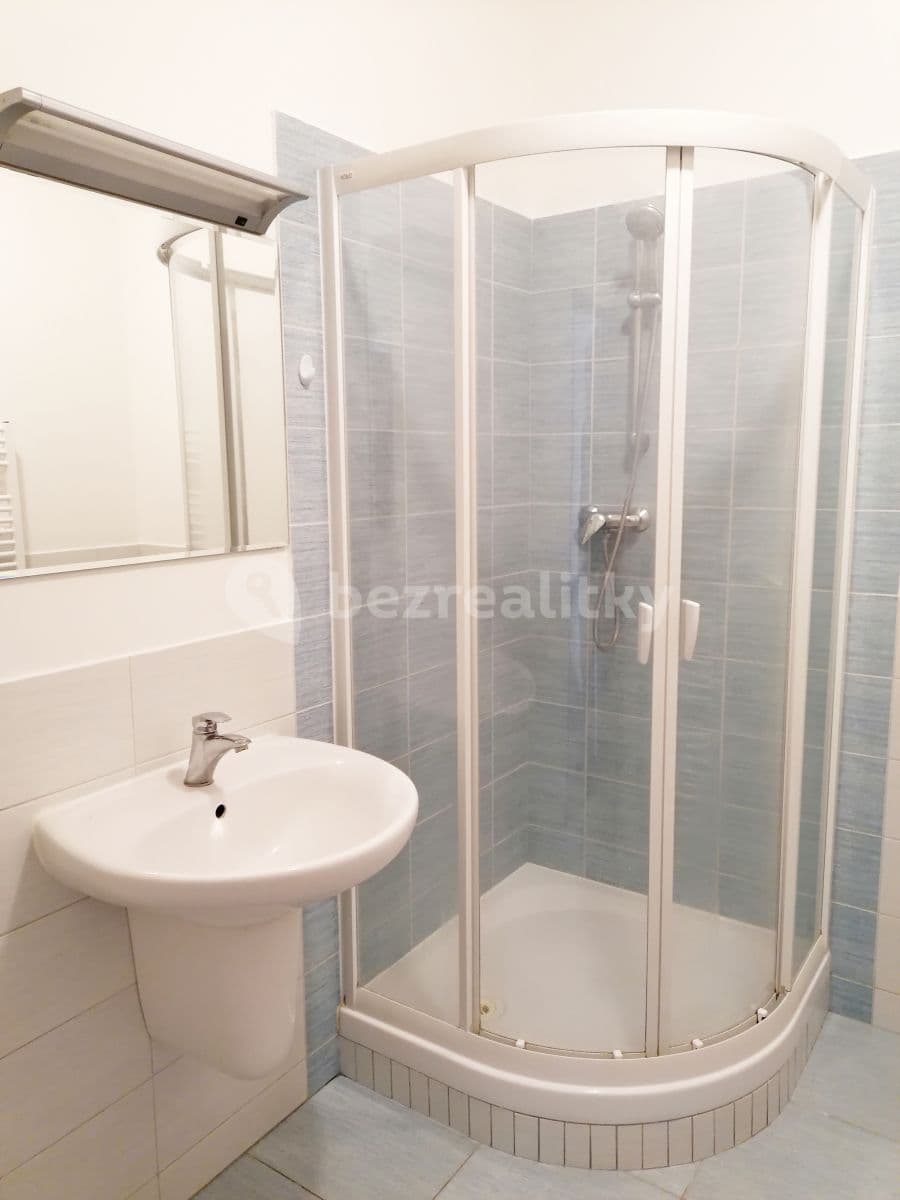Pronájem bytu 1+kk 48 m², Neklež, Brno, Jihomoravský kraj Pronájem bytu 1+kk 48 m², Neklež, Brno, Jihomoravský kraj