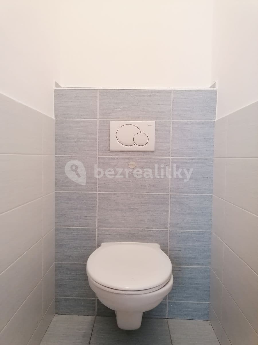 Pronájem bytu 1+kk 48 m², Neklež, Brno, Jihomoravský kraj Pronájem bytu 1+kk 48 m², Neklež, Brno, Jihomoravský kraj
